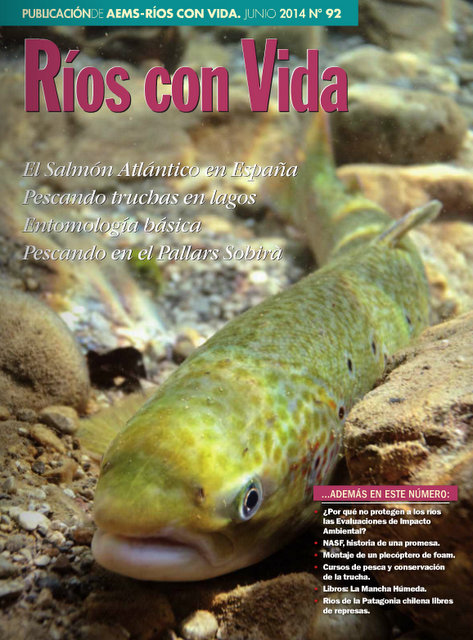 Revista AEMS 92