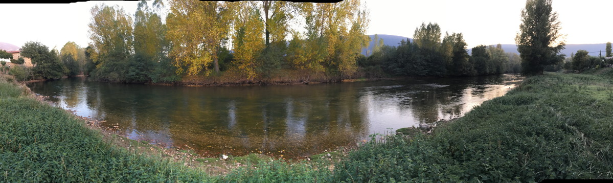 Aguas trucheras del río Ebro en Burgos