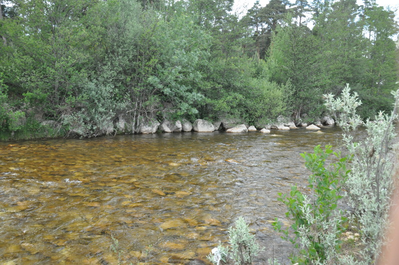 Río Revinuesa en Soria